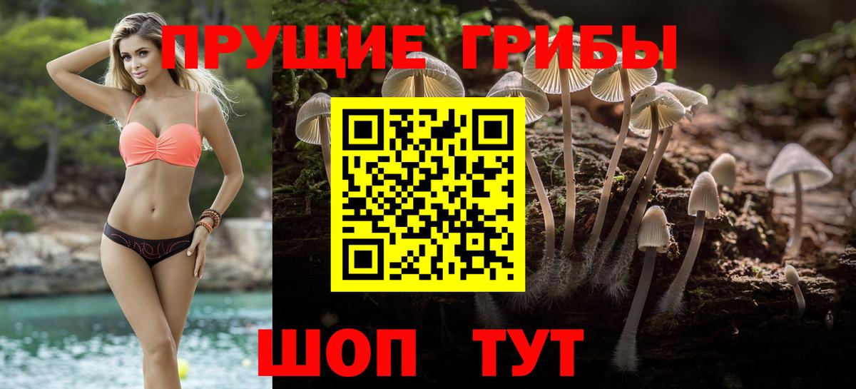 Галлюциногенные грибы Magic Shrooms Осинники