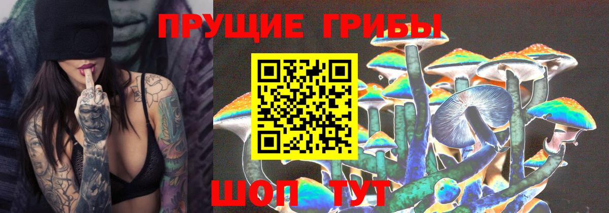 Псилоцибиновые грибы Magic Shrooms  продажа наркотиков  Осинники  Галлюциногенные грибы прущие грибы  Вход с VPN 